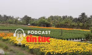 Tin nóng trong nước nghe nhanh sáng 30/11
