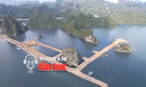 Tin nóng trong nước nghe nhanh sáng 14/11