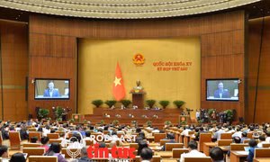 Tin nóng trong nước nghe nhanh sáng 8/11