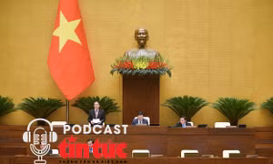 Tin nóng trong nước nghe nhanh sáng 20/11