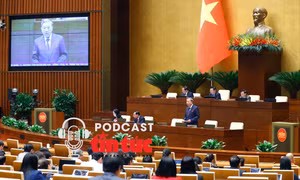 Tin nóng trong nước nghe nhanh sáng 29/11