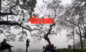 Hà Nội 'nháo nhác' vì sương mù, báo động ô nhiễm môi trường 