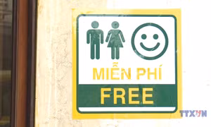 Hơn 1.000 nhà vệ sinh miễn phí phục vụ sự kiện A80 tại Hà Nội