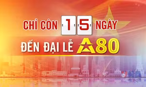 Đếm ngược A80 - ngày 18/8/2025