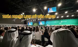 Tiêu điểm Quốc tế: Thỏa thuận lịch sử của COP28