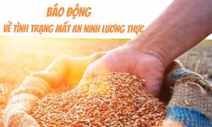 Tin tức TV: Báo động về tình trạng mất an ninh lương thực