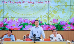 Chủ động điều hành sản xuất, tiêu thụ lúa gạo
