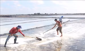 Bế mạc Festival nghề muối Việt Nam - Bạc Liêu năm 2025