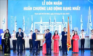 Tiên phong xuất sắc trong đào tạo, nghiên cứu, phát huy bản sắc