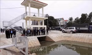 Hơn 90% diện tích vụ Đông Xuân có nước sản xuất