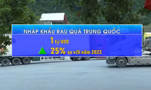 Việt Nam chi hơn 1,5 tỷ USD nhập rau quả từ Mỹ, Trung Quốc
