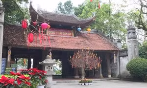 Chùa Thiên Quang rực rỡ sắc Xuân