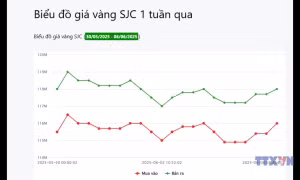 Thị trường vàng sau chỉ đạo của Tổng Bí thư