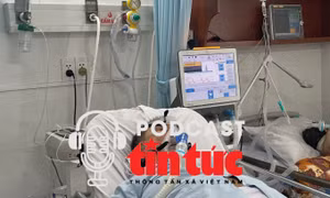 TP Hồ Chí Minh: Cảnh báo nhiều dịch bệnh truyền nhiễm gia tăng cuối năm
