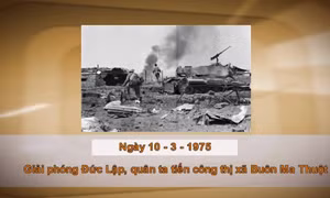 Khoảnh khắc & sự kiện ngày 10/3