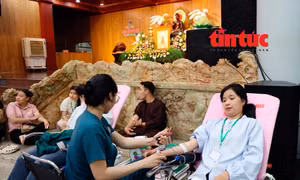 Nhiều hoạt động ý nghĩa dịp Vu Lan tại TP Hồ Chí Minh