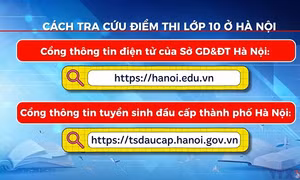 Cách tra cứu điểm thi lớp 10 ở Hà Nội 