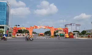 Chợ hoa xuân Vĩnh Long thu hút khách tham quan