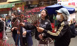 Nét xuân trong từng sắc hoa Hàng Lược