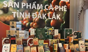 Nhiều nét mới tại Lễ hội cà phê Buôn Ma Thuột năm 2025