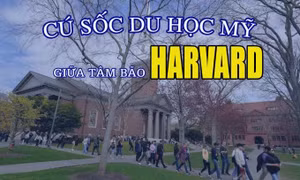 Tin tức TV: Cú sốc du học Mỹ giữa tâm bão Harvard