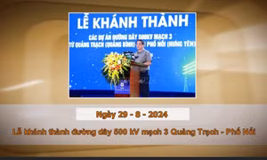 Khoảnh khắc và Sự kiện ngày 29/8 