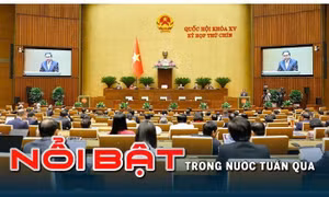 Tin tức TV - Nổi bật tuần qua: Sẵn sàng vận hành tổ chức bộ máy mới từ ngày 1/7; Xét xử vụ án Tập đoàn Phúc Sơn