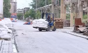 Doanh nghiệp thích nghi với biến động giá xăng dầu