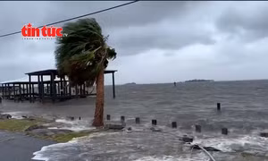 Bão nhiệt đới Debby gây mưa lớn kỷ lục và lũ quét tại nhiều khu vực ở Mỹ 