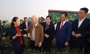 'Niềm vui lớn' của đội ngũ doanh nhân và cộng đồng doanh nghiệp Việt Nam