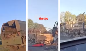 Tin nóng thế giới sáng 13/8