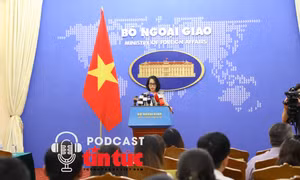 Người phát ngôn Bộ Ngoại giao thông tin về tình hình người Việt Nam tại Israel