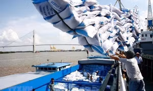 Xuất khẩu gạo của Việt Nam lập kỉ lục cả về giá lẫn kim ngạch