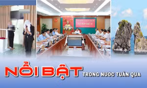 Tin tức TV: Kỉ luật, đề nghị kỉ luật nhiều lãnh đạo, nguyên lãnh đạo Quảng Ninh; xoá bỏ tổ chức của Hội thánh Đức Chúa Trời Mẹ