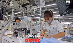 Ngành dệt may Việt Nam có nhiều tín hiệu vui cuối năm