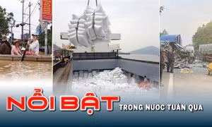 Tin tức TV: Xuất khẩu gạo của Việt Nam lập kỉ lục mới; mưa lũ gây thiệt hại nghiêm trọng ở nhiều địa phương