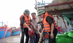 Bão số 3 vào bờ: Sóng lớn, gió giật, mưa dồn dập 