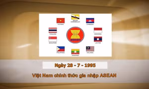 Khoảnh khắc và Sự kiện ngày 28/7 