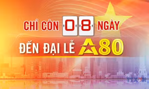 Đếm ngược A80 ngày 25/8/2025 