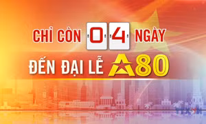 Đếm ngược A80 ngày 29/8/2025