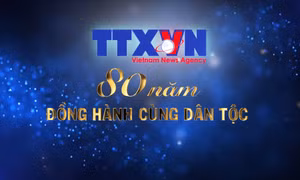Thông tấn xã Việt Nam: Dòng tin chủ lực - 80 năm đồng hành cùng dân tộc