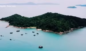 Net Zero Tour - Mô hình du lịch hướng tới chuyển đổi xanh
