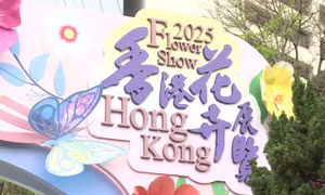 Ấn tượng Triển lãm hoa Hong Kong (Trung Quốc) 2025