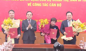 Bổ nhiệm 3 Phó Trưởng Ban Chính sách, chiến lược Trung ương