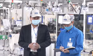 Hơn 60% doanh nghiệp Nhật Bản tại Việt Nam có lãi