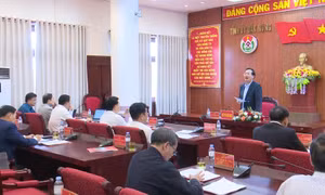 Đắk Nông xúc tiến các dự án bô xít quy mô lớn