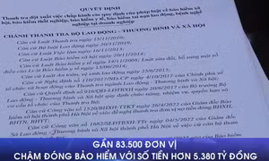 Gần 83.500 đơn vị chậm đóng bảo hiểm với số tiền hơn 5.380 tỷ đồng