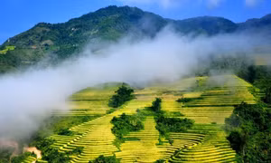 Sa Pa, Cần Thơ lot top điểm đến lý tưởng ở châu Á vào mùa thu