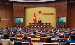 Thống nhất sửa 'kỳ họp bất thường' thành 'kỳ họp không thường lệ'