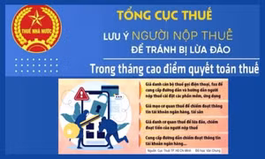 Điểm mặt các chiêu thức lừa đảo thuế
